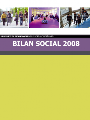 bilan-social-2008