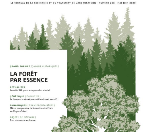 Parution d’en direct n°288 – La forêt par essence