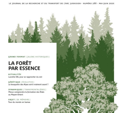 Parution d’en direct n°288 – La forêt par essence